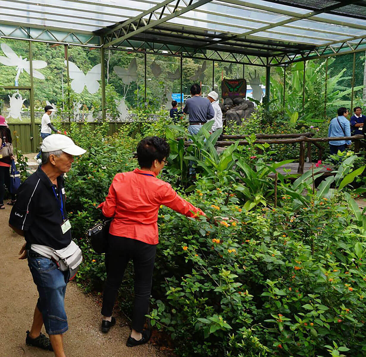 Happy-Bee-Farm-Insect-World-01