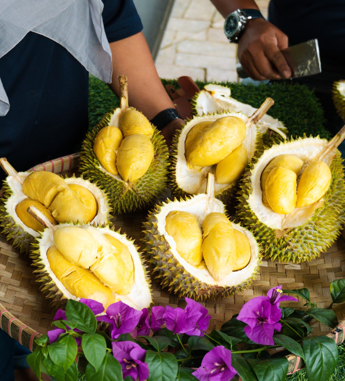 durian-playcation-cover