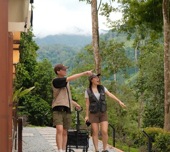 serenebyplay-softopening-03