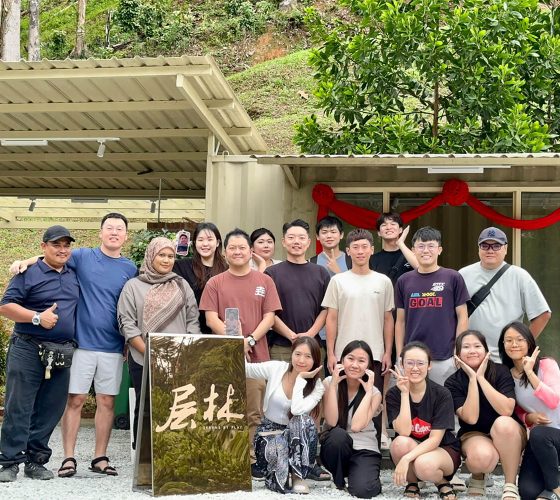 serenebyplay-softopening-10