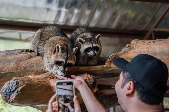 teambuilding-bentongfarm-03